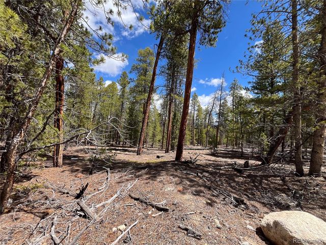 1013 Sequoia Drive, Twin Lakes, CO 81251