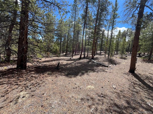 1013 Sequoia Drive, Twin Lakes, CO 81251