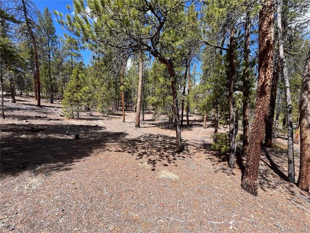 1013 Sequoia Drive, Twin Lakes, CO 81251