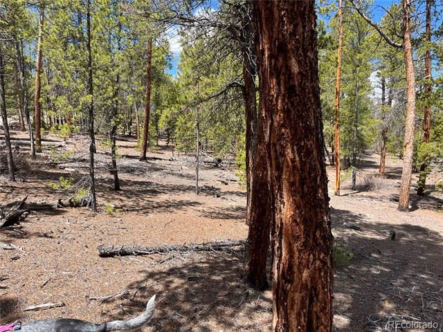 1013 Sequoia Drive, Twin Lakes, CO 81251