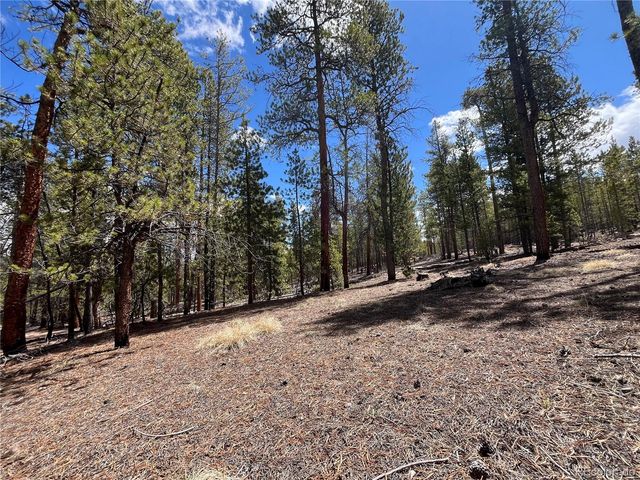1013 Sequoia Drive, Twin Lakes, CO 81251