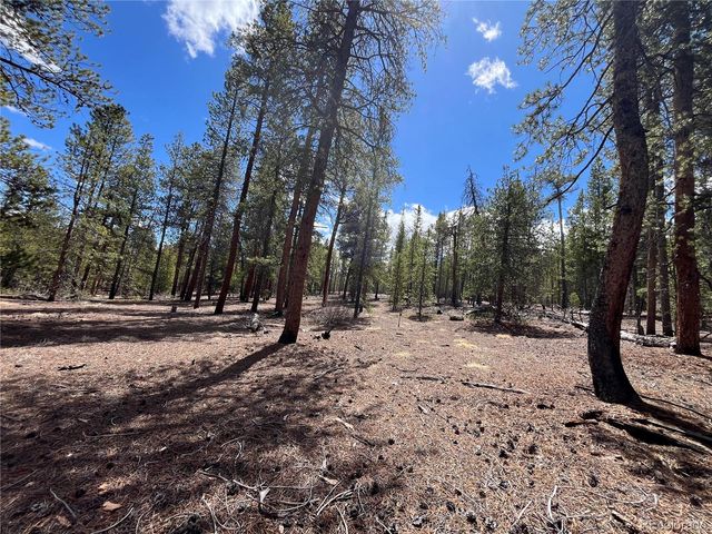 1013 Sequoia Drive, Twin Lakes, CO 81251