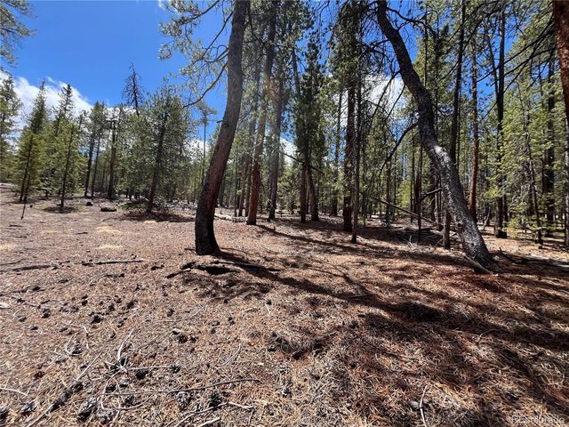 1013 Sequoia Drive, Twin Lakes, CO 81251