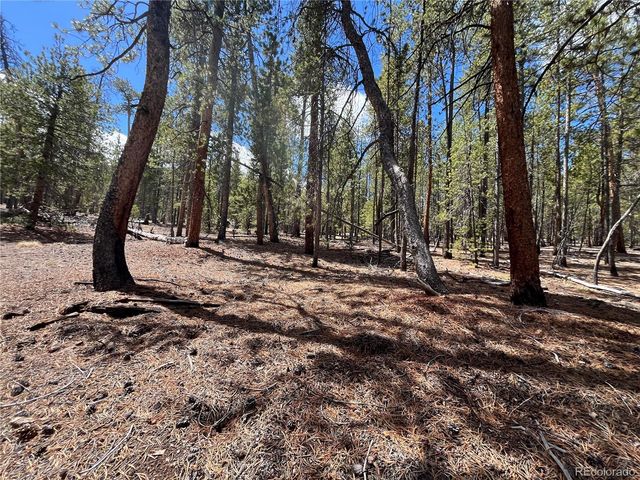 1013 Sequoia Drive, Twin Lakes, CO 81251
