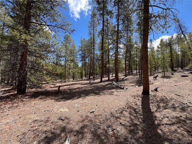 1013 Sequoia Drive, Twin Lakes, CO 81251