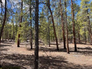 1013 Sequoia Drive, Twin Lakes, CO 81251
