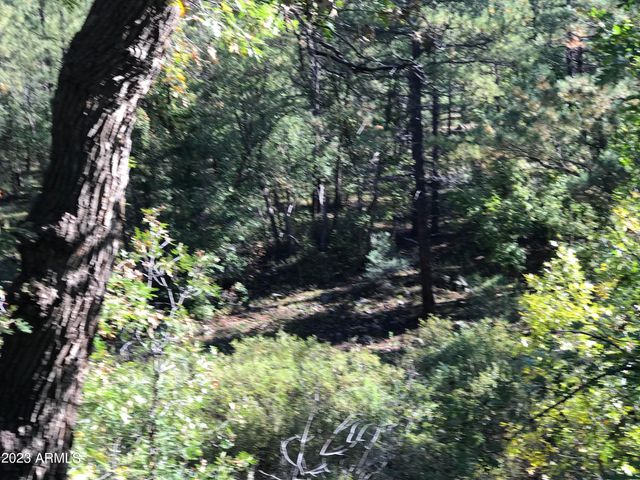 300 E White Mountain Boulevard, Pinetop, AZ 85935