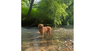 5915 River Hollow Trail 758, Lenoir, NC 28645