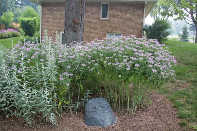 4620 Hampton Road, Golden Valley, MN 55422