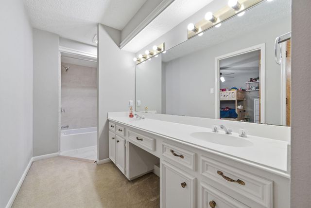 7222 Birchtree Forest Drive, Houston, TX 77088