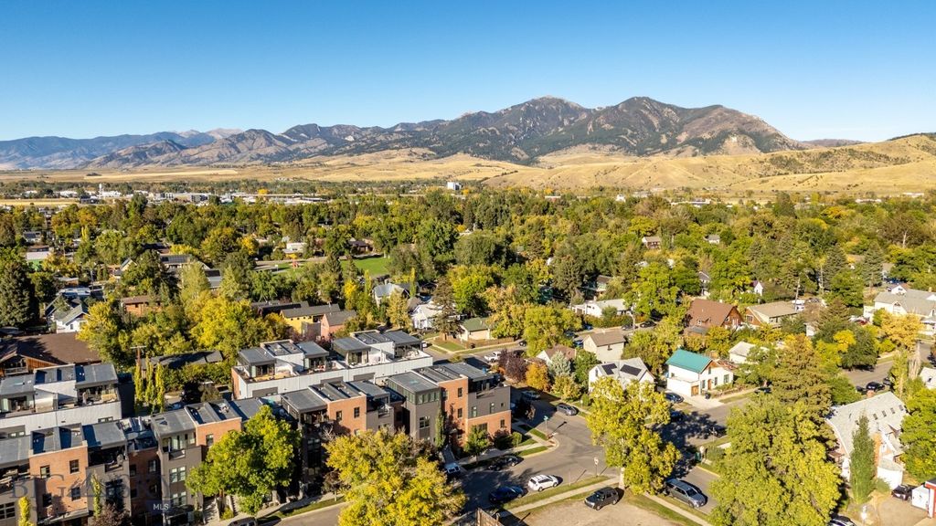 19 E Lamme Street, Bozeman, MT 59715 photo 88