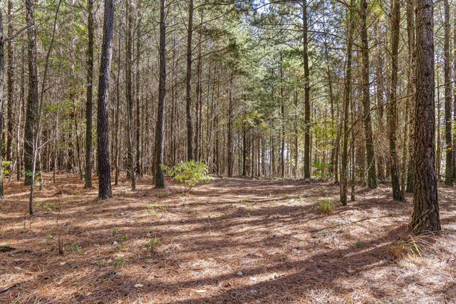 0 Pioneer Road, Jasper, TN 37347