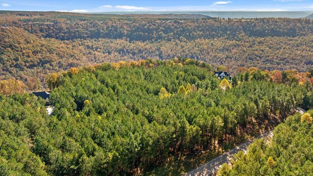 0 Pioneer Road, Jasper, TN 37347