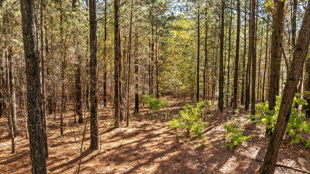 0 Pioneer Road, Jasper, TN 37347