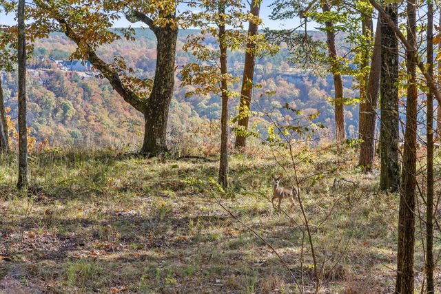 0 Pioneer Road, Jasper, TN 37347