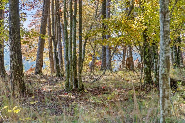 0 Pioneer Road, Jasper, TN 37347