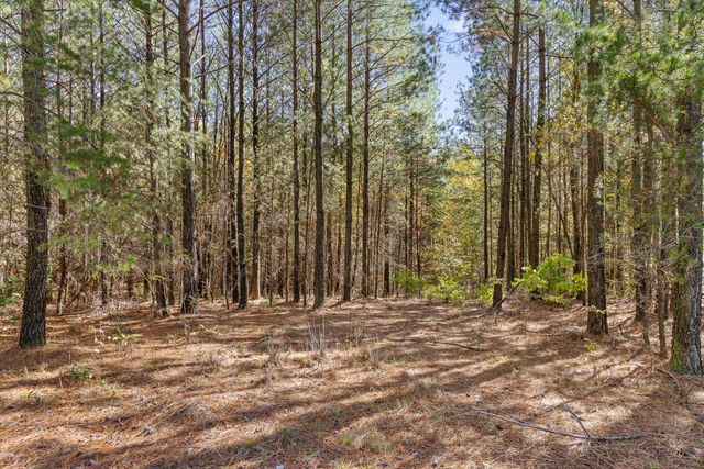 0 Pioneer Road, Jasper, TN 37347