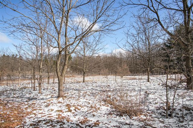 11450 Tefft Avenue, Rockford, MI 49341