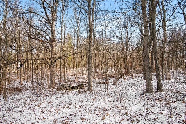 11450 Tefft Avenue, Rockford, MI 49341