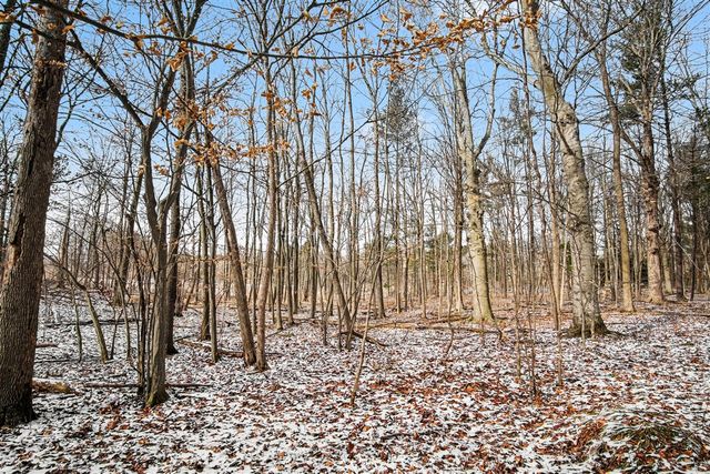 11450 Tefft Avenue, Rockford, MI 49341