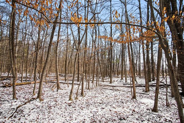 11450 Tefft Avenue, Rockford, MI 49341