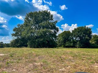 1957 County Road 155, Bedias, TX 77831