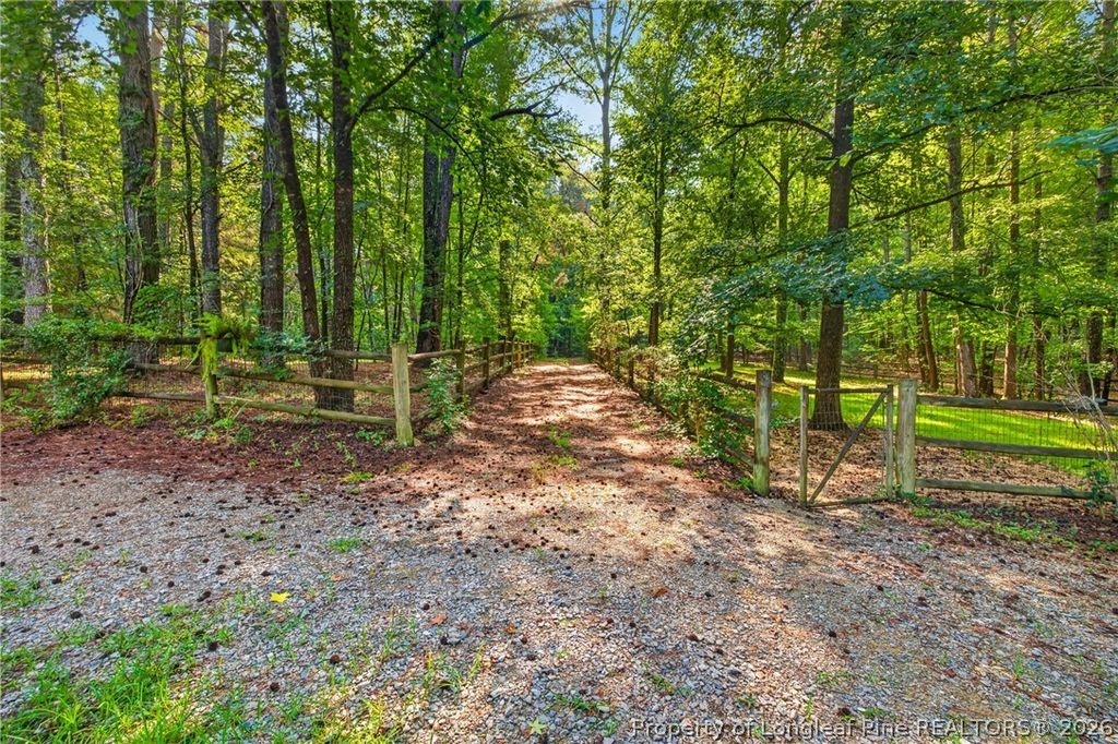 1285 Cool Springs Road, Lillington, NC 27546 — photo 10
