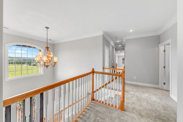 3895 Ostella Rd, Cornersville, TN 37047