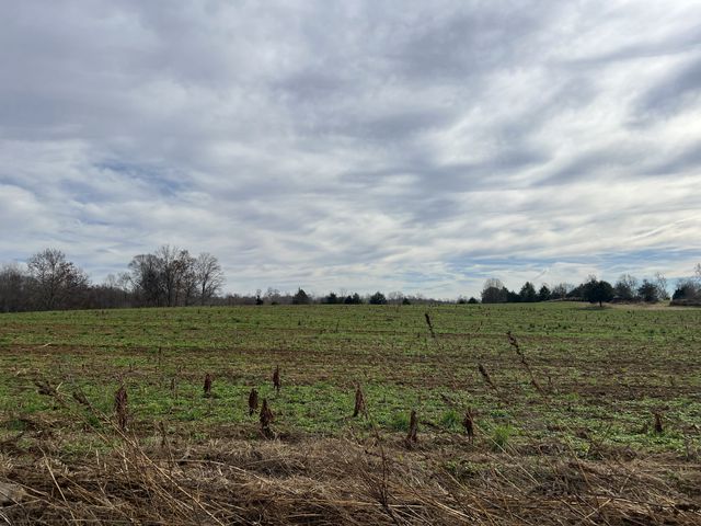 0 Parkhurst Road, Red Boiling Springs, TN 37150