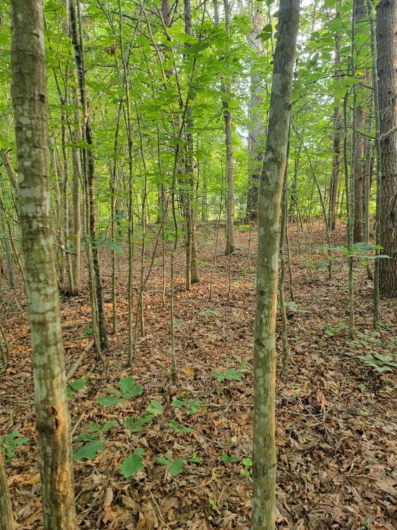 2 Lewis Ford Road, Brookneal, VA 24528