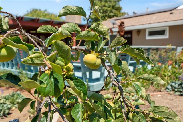 720 Carnation Lane, Fallbrook, CA 92028