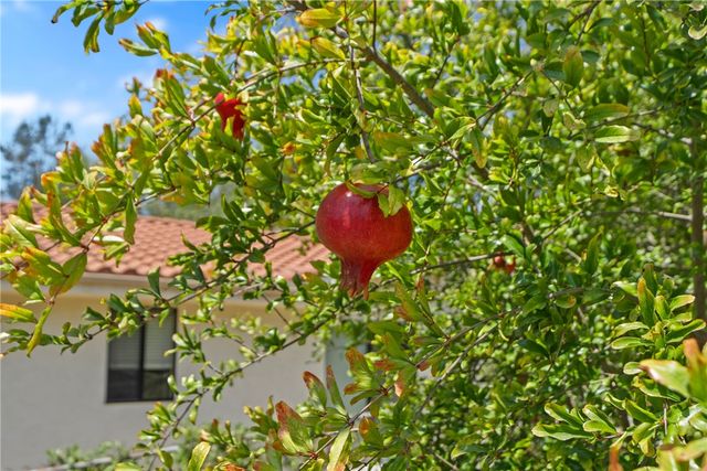 720 Carnation Lane, Fallbrook, CA 92028