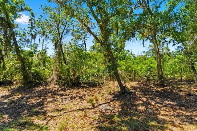 19084 RED BIRD LANE LOT 1, Lithia, FL 33547