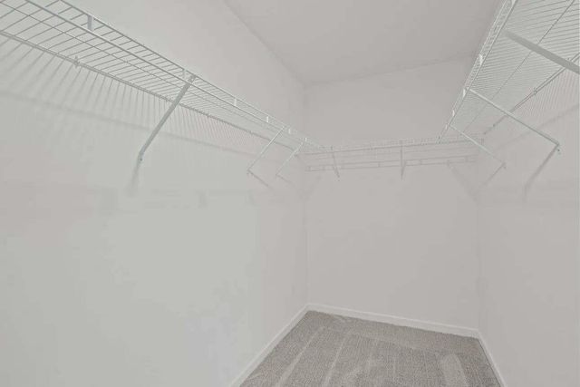 31218 Williams Landing Street, Waller, TX 77484