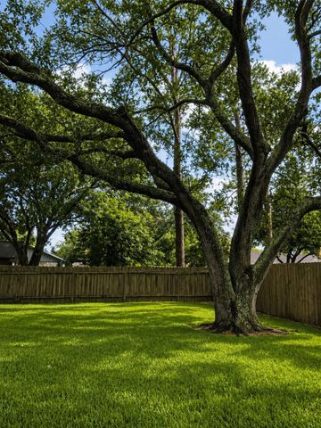 309 Meadow Wood Court, League City, TX 77573