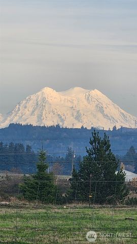 16826 Sheldon Lane SW, Rochester, WA 98579