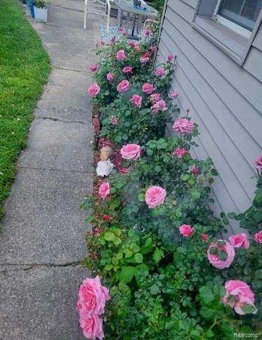 30917 Pardo Street, Garden City, MI 48135