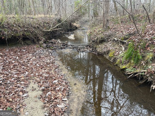 0 Whiteside Road, Chattahoochee Hills, GA 30268