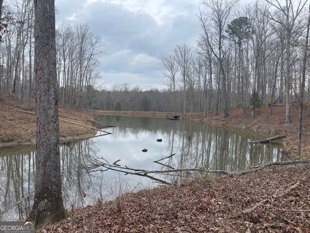 0 Whiteside Road, Chattahoochee Hills, GA 30268