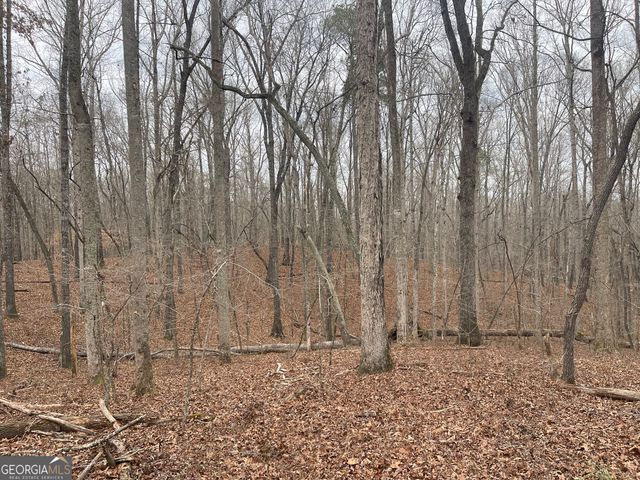 0 Whiteside Road, Chattahoochee Hills, GA 30268