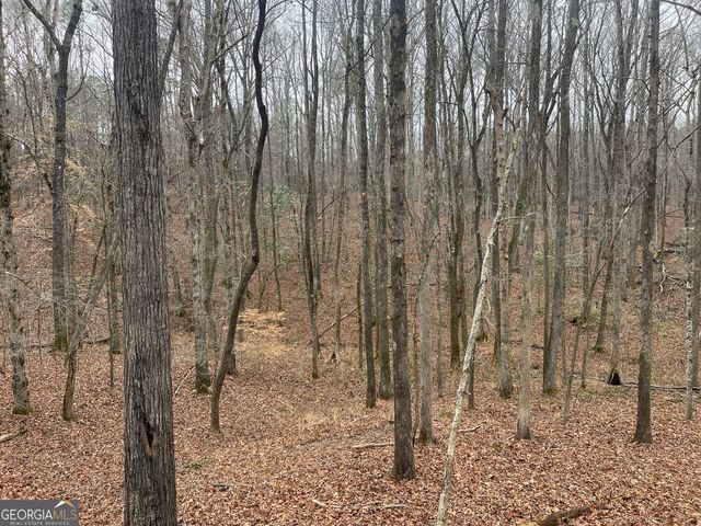 0 Whiteside Road, Chattahoochee Hills, GA 30268