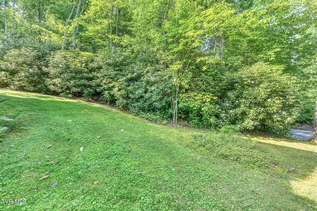 503 Bankers Bend, Mountain City, TN 37683