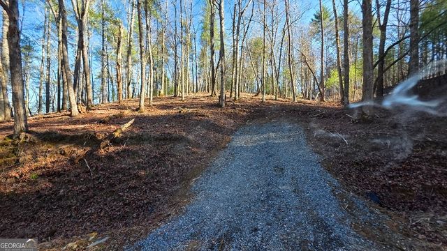 151 Rhondas Way, East Ellijay, GA 30540
