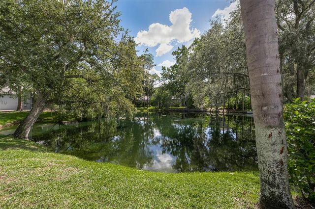 3559 SYLVAN EDGE DRIVE, Palm Harbor, FL 34685