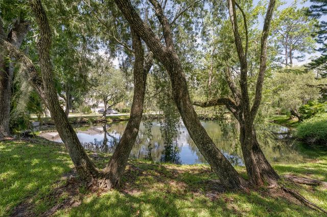3559 SYLVAN EDGE DRIVE, Palm Harbor, FL 34685