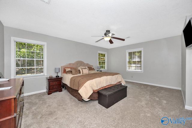 12014 Chimney Hollow Trail, Huntsville, AL 35803