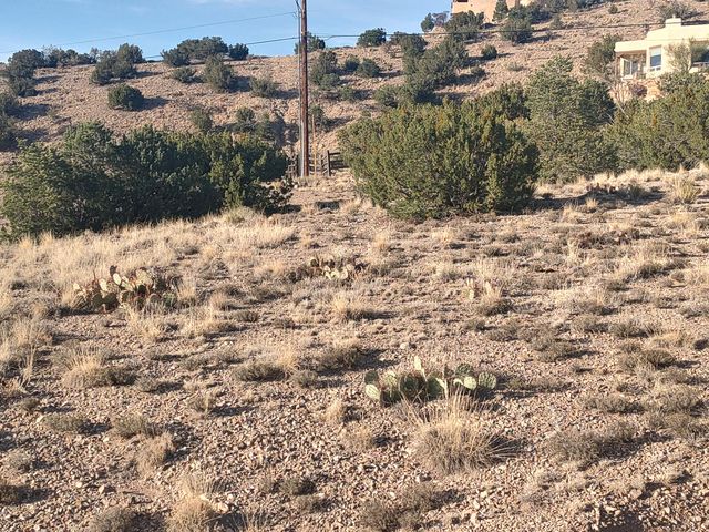 Las Brisas Loop, Placitas, NM 87043