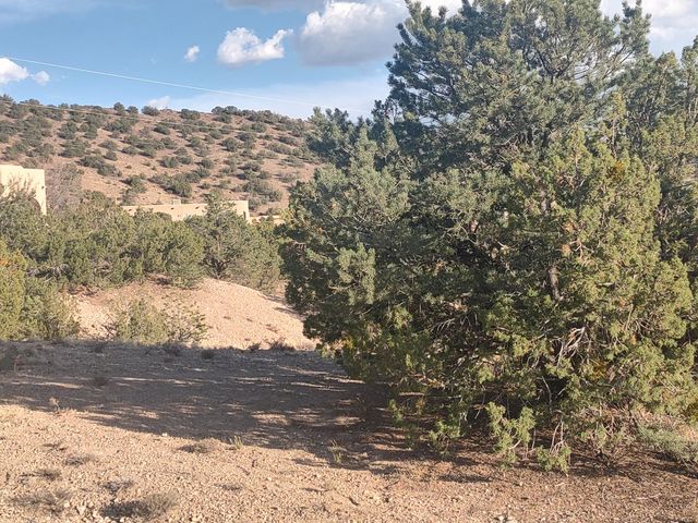 Las Brisas Loop, Placitas, NM 87043