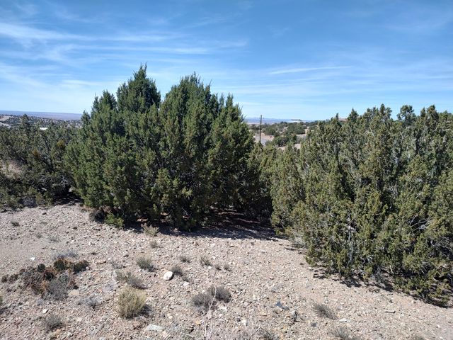 Las Brisas Loop, Placitas, NM 87043