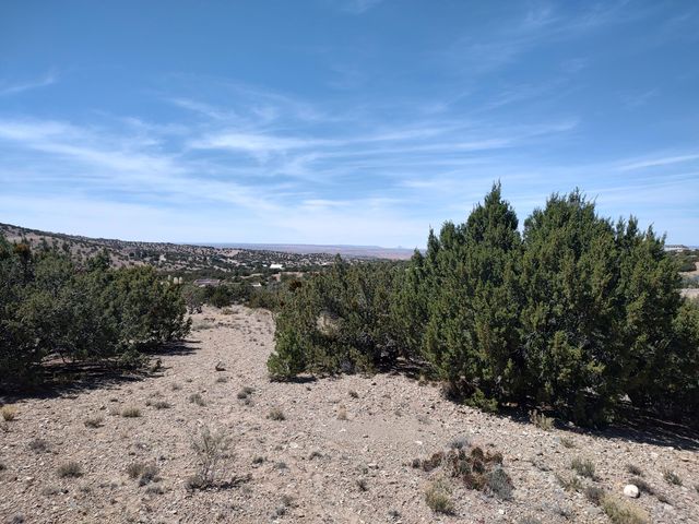 Las Brisas Loop, Placitas, NM 87043